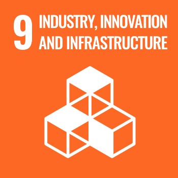 SDG 3